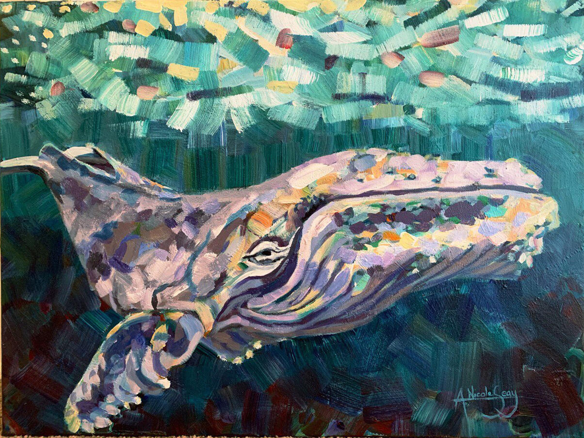 Whale
